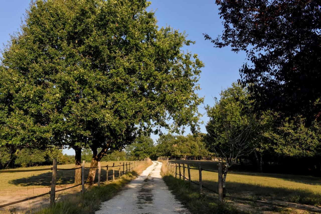 Domaine Verte Vallee Lignan-de-Bordeaux Екстер'єр фото